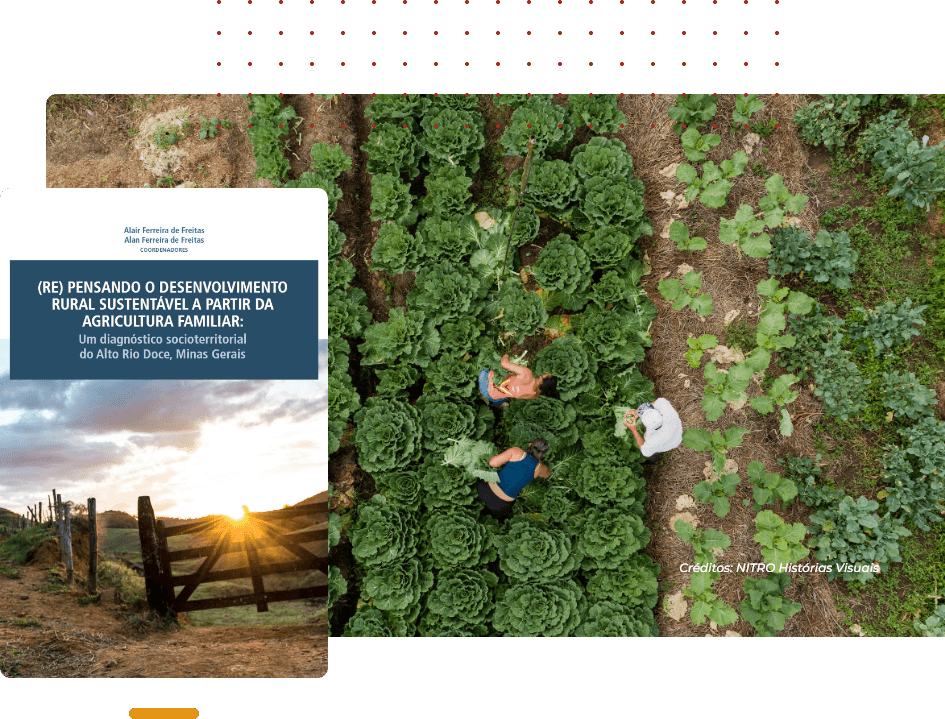 Montagem livro Repensando o desenvolvimento Rual sustentável a partir da Agricultura familiar e foto de plantação.