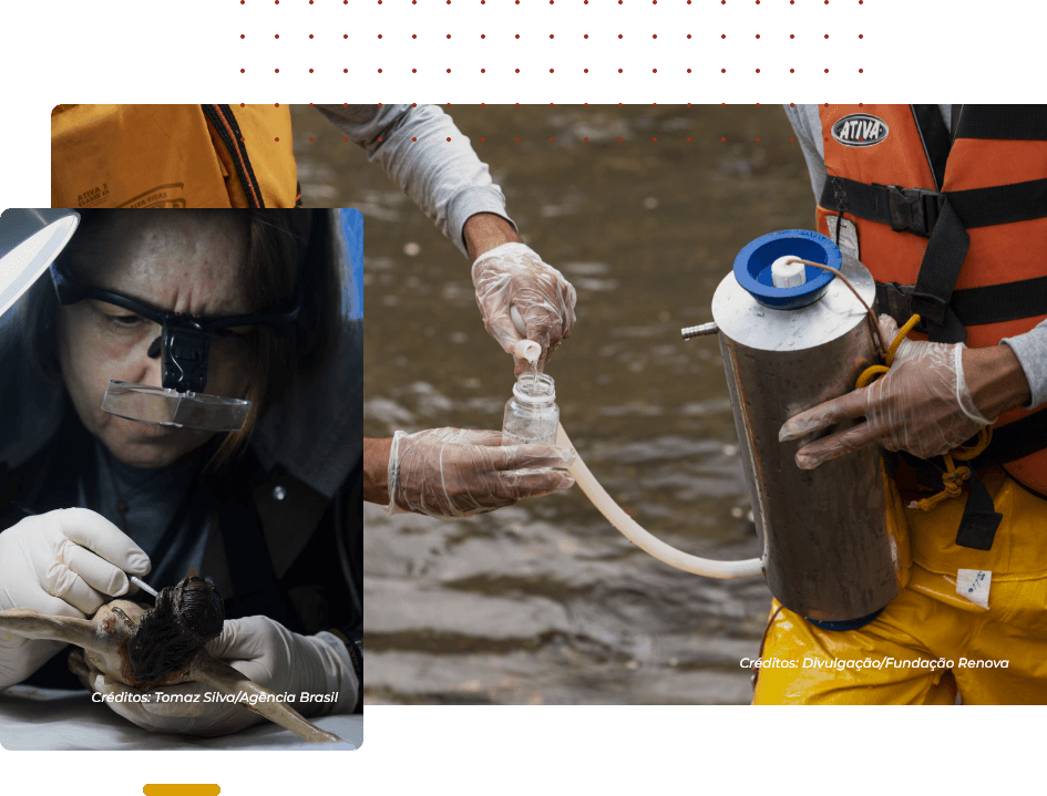 Montagem de fotos de recuperação de uma imagem e testes da água. Créditos: Tomaz Silva / Agência Brasil e Divulgação / Fundação Renova